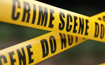 പാലക്കാട് കുടുംബ വഴക്കിനെ തുടർന്ന്    ഭർത്താവ് ഭാര്യയെ കുത്തിക്കൊലപ്പെടുത്തി