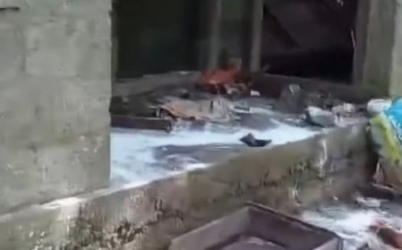 കോതമംഗലത്ത് വീടിന് നേരെ കാട്ടാന ആക്രമണം