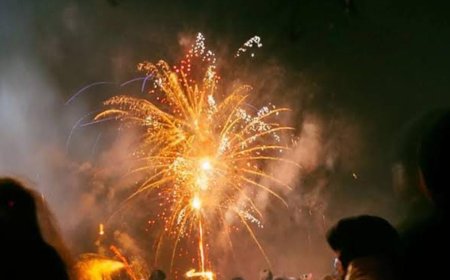 സംസ്ഥാനത്ത് പടക്കം പൊട്ടിക്കുന്നതിൽ നിയന്ത്രണം, ഹരിതപടക്കങ്ങൾ മാത്രമേ വിൽക്കാവൂ