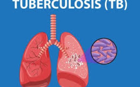 ജില്ലയിൽ ആറ് ഗ്രാമ പഞ്ചായത്തുകൾ ക്ഷയരോഗ മുക്തം; 24നു പുരസ്‌കാരസമർപ്പണം