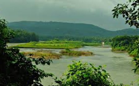 കണ്ണൂർ  ജി​ല്ല​യി​ലെ ആ​ദ്യ​ത്തെ ന​ഗ​ര​വ​നം ഇ​രി​ട്ടി​യി​ൽ