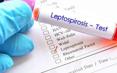 തിരുവനന്തപുരത്ത് എലിപ്പനി ബാധിച്ച് ഒരു മരണം