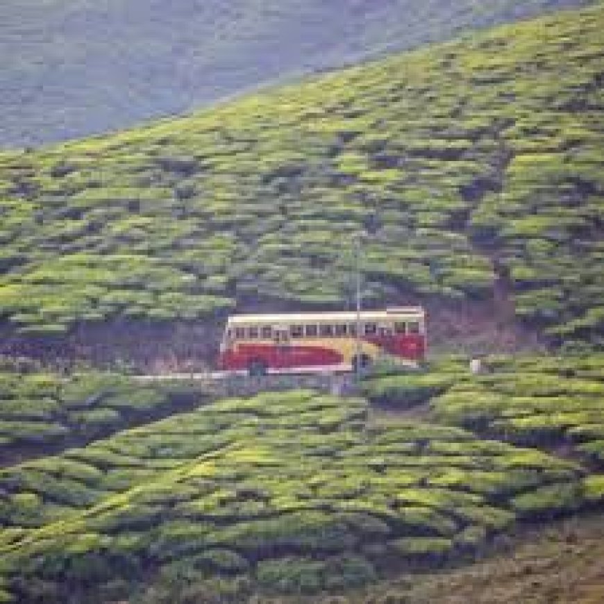 പൂജാ അവധി ദിനങ്ങളിൽ എരുമേലിയിൽ നിന്നും  മലക്കപ്പാറ, ചതുരംഗപ്പാറ വിനോദ  യാത്ര