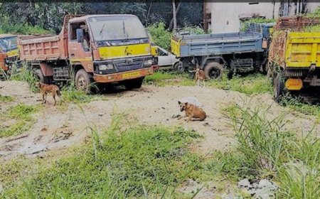 പോലീസ് സ്റ്റേഷനുകളില്‍ അവകാശികളില്ലാത്ത 487 വാഹനങ്ങള്‍ ഇ-ലേലം ചെയ്യും  