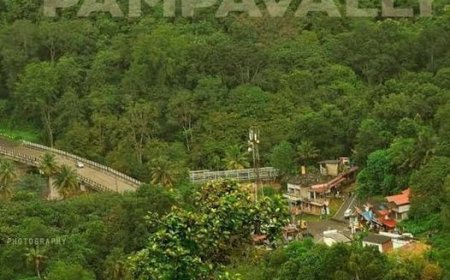 പമ്പാവാലി, ഏയ്ഞ്ചല്‍വാലി മേഖലകളെ പെരിയാർ ടൈഗർ റിസർവ്വിൽ നിന്ന് ഒഴിവാക്കൽ- കേന്ദ്ര വനം-വന്യജീവി ബോർഡ് വിദഗ്ധസമിതി