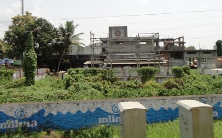 രാജ്യത്തെ ആദ്യ സമ്പൂർണ ഓൺഗ്രിഡ് സൗരോർജ ഡെയറിയായി എറണാകുളം  മില്‍മ