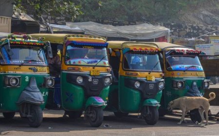 ഓട്ടോറിക്ഷ ഓടിക്കുന്നതിന് ബാഡ്ജ് ആവശ്യമില്ല; നിയമഭേദഗതി സുപ്രീംകോടതി ശരിവച്ചു