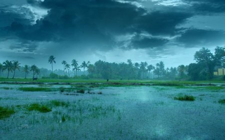 ഇടിമിന്നലോട് കൂടിയ മഴയ്ക്ക് സാധ്യത; 7 ജില്ലകളിൽ മഞ്ഞ അലർട്ട്