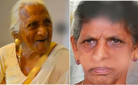 കോ​ട്ട​യം   പാക്കാനത്ത്   ക​ട​ന്ന​ല്‍ ആ​ക്ര​മ​ണം; അ​മ്മ​യ്ക്ക് പി​ന്നാ​ലെ മ​ക​ളും മ​രി​ച്ചു   : വിറങ്ങലിച്ചു നാട്.