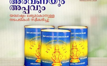 ശബരിമല മണ്ഡല മകരവിളക്ക് തീർത്ഥാടനത്തിനായി എല്ലാ ഒരുക്കങ്ങളും പൂർത്തീകരിച്ചു : മന്ത്രി വി എൻ വാസവൻ