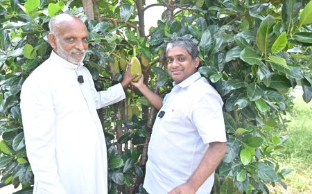 കവീക്കുന്നിൻ്റെ സ്വന്തം കൃഷിയച്ചൻ