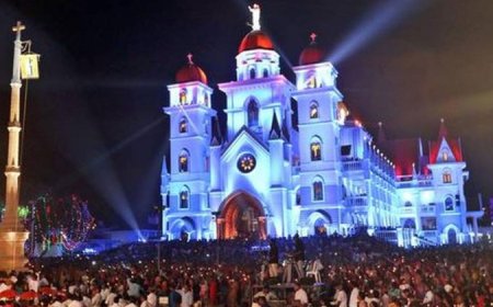 വെട്ടുകാട് തിരുന്നാൾ, നാളെ ഉച്ചയ്ക്ക് ശേഷം നെയ്യാറ്റിന്കര താലൂക്കിൽ  പ്രാദേശിക അവധി