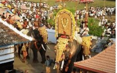 3 മണിക്കൂറില്‍ കൂടുതൽ ആനയെ എഴുന്നള്ളിക്കരുത്,  മാർഗരേഖയുമായി ഹൈക്കോടതി