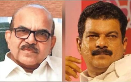 പിവി അൻവറിനെതിരെ പി ശശി; വക്കീല്‍ നോട്ടീസിന് മറുപടിയില്ല, ക്രിമിനല്‍ അപകീര്‍ത്തി കേസ് നല്‍കി