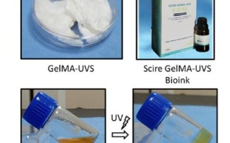കോശസൃഷ്ടിക്കായുള്ള ബയോ ഇങ്കിന് പേറ്റന്റ് നേടി ശ്രീ ചിത്ര