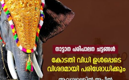 ഉത്സവങ്ങളിൽ നാട്ടാനകളുടെ സംരക്ഷണം ഉറപ്പു വരുത്തും: മന്ത്രി എ കെ ശശീന്ദ്രൻ