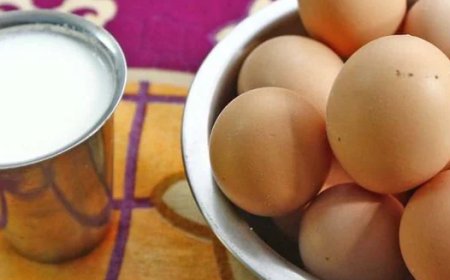 കാസര്കോട്ടെ സ്കൂള് വിദ്യാര്ഥികള്ക്ക് ഭക്ഷ്യവിഷബാധ;പാല്വിതരണം നിര്ത്തിവെച്ചു