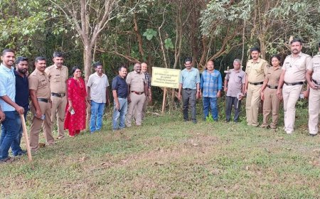 സർക്കാർ ഭൂമിയിലെ അനധികൃത കൈയ്യേറ്റം ഒഴിപ്പിച്ചു.