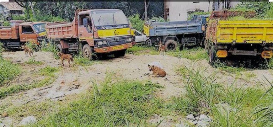 പോലീസ് സ്റ്റേഷനുകളില്‍ അവകാശികളില്ലാത്ത 487 വാഹനങ്ങള്‍ ഇ-ലേലം ചെയ്യും  