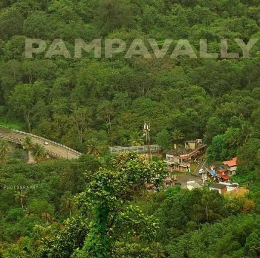 പമ്പാവാലി, ഏയ്ഞ്ചല്‍വാലി മേഖലകളെ പെരിയാർ ടൈഗർ റിസർവ്വിൽ നിന്ന് ഒഴിവാക്കൽ- കേന്ദ്ര വനം-വന്യജീവി ബോർഡ് വിദഗ്ധസമിതി