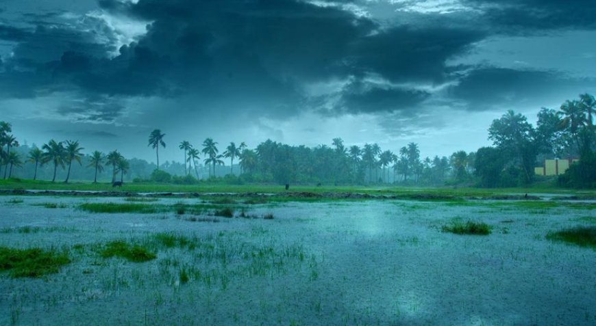 സംസ്ഥാനത്ത് മഴ മുന്നറിയിപ്പിൽ മാറ്റം; വിവിധ ജില്ലകളിൽ യെല്ലോ അലേർട്ട് പ്രഖ്യാപിച്ചു