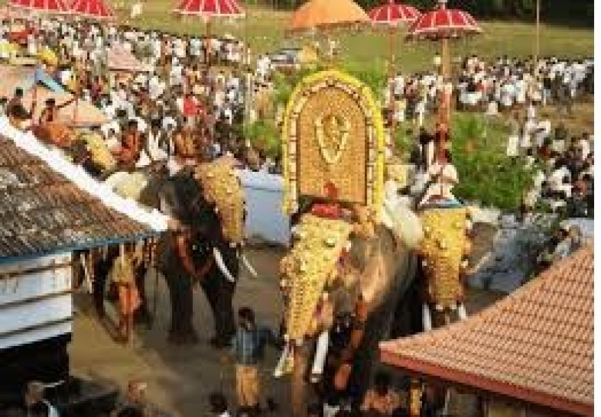 3 മണിക്കൂറില്‍ കൂടുതൽ ആനയെ എഴുന്നള്ളിക്കരുത്,  മാർഗരേഖയുമായി ഹൈക്കോടതി