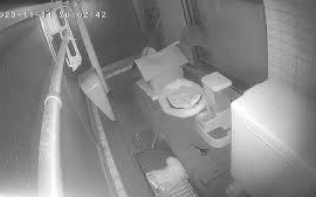 ശു​ചി​മു​റി​യി​ൽ ഒ​ളി​കാ​മ​റ സ്ഥാ​പി​ച്ച് ദൃ​ശ്യ​ങ്ങ​ൾ പ​ക​ർ​ത്തി​യ സം​ഭ​വ​ത്തി​ൽ യു​വ ട്രെ​യി​നി ഡോ​ക്ട​ർ അ​റ​സ്റ്റി​ൽ.