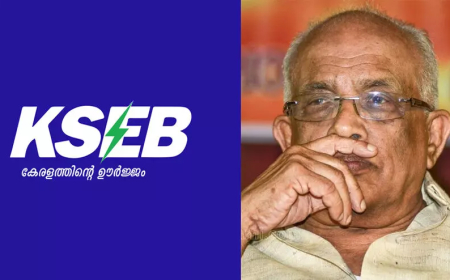 സംസ്ഥാനത്ത് വൈദ്യുതി നിരക്ക് വർധന അനിവാര്യം;മന്ത്രി കൃഷ്ണൻ കുട്ടി