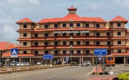 നെടുമ്പാശ്ശേരിയില്‍ വൻ പക്ഷിക്കടത്ത് പിടികൂടി