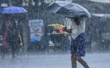 മഴ തുടരുന്നതിന്റെ പശ്ചാത്തലത്തിൽ ഇന്ന് നാലു ജില്ലകളിൽ യെല്ലോ അലർട്ട്