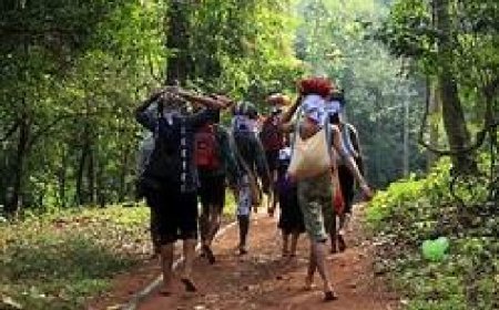 കാനന പാതയില്‍ തീര്‍ത്ഥാടകരുടെ എണ്ണം 35,000 കടന്നു