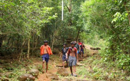 ശബരിമല: കാനനപാത വഴി എത്തുന്നവർക്ക് വരിനിൽക്കാതെ ശബരിമല ദർശനം നടത്താം