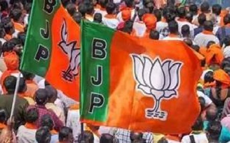 കേരളത്തില് ബിജെപിക്ക് 30 ജില്ലാ കമ്മിറ്റികള്