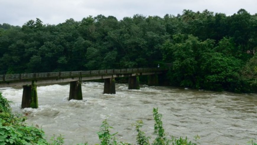 ജലനിരപ്പ് ഉയരുന്നു: മണിമലയിൽ മഞ്ഞ അലർട്ട്; ജാഗ്രത നിർദേശം