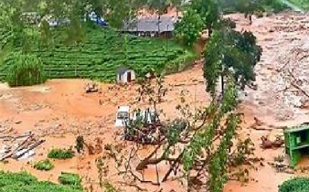 വ​യ​നാ​ട് ഉ​രു​ൾ​പൊ​ട്ട​ൽ: ഒ​ന്നാം​ഘ​ട്ട പു​ന​ര​ധി​വാ​സ പ​ട്ടി​ക​യ്ക്ക് അം​ഗീ​കാ​രം