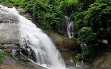 തുഷാരഗിരിയിലെ മഴവിൽച്ചാട്ടം, തുമ്പി തുള്ളുംപാറ വെള്ളച്ചാട്ടങ്ങളിലേക്കുള്ള പ്രവേശനം പുനരാരംഭിച്ചു