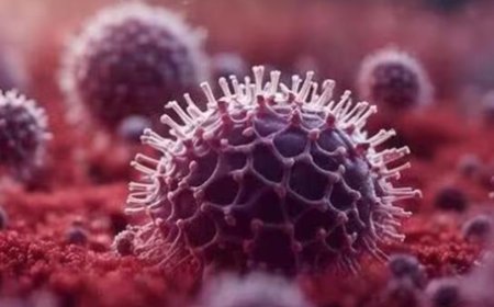 ഹ്യൂ​മ​ന്‍ മെ​റ്റാ​ന്യൂ​മോ​വൈ​റ​സ്(​എ​ച്ച്എം​പി​വി) ഇ​ന്ത്യ​യി​ൽ സ്ഥി​രീ​ക​രി​ച്ചു;എ​ട്ട് മാ​സം പ്രാ​യ​മു​ള്ള കു​ഞ്ഞി​ന്