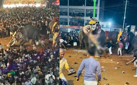 തിരൂരിൽ പുതിയങ്ങാടി നേർച്ചക്കിടെ ആനയിടഞ്ഞു; ഒരാളെ തൂക്കിയെറിഞ്ഞു