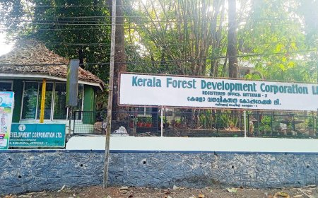 വനം വികസന കോർപറേഷന് അൻപതു വികസനവർഷങ്ങൾ
