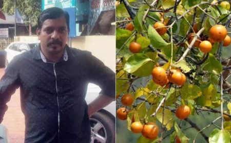 ആചാരത്തിന്റെ ഭാഗമായി കാഞ്ഞിരക്കായ കഴിച്ചു; പാലക്കാട്ട് യുവാവിന് ദാരുണാന്ത്യം