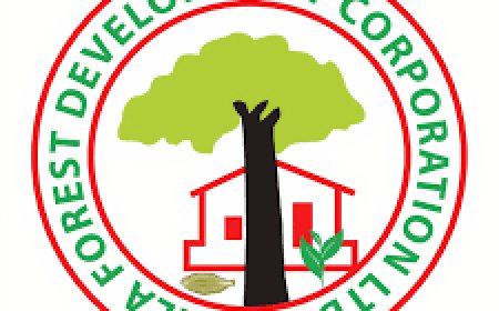 കേരള വനം വികസന കോര്‍പറേഷന്‍ സുവര്‍ണ ജൂബിലി ആഘോഷം വെള്ളിയാഴ്ച തുടങ്ങും