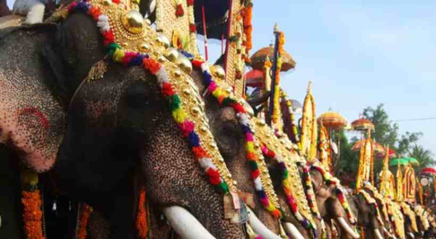 ആനയെഴുന്നള്ളിപ്പ് നിയന്ത്രണങ്ങളിൽ സുപ്രീംകോടതി സ്റ്റേ തുടരും