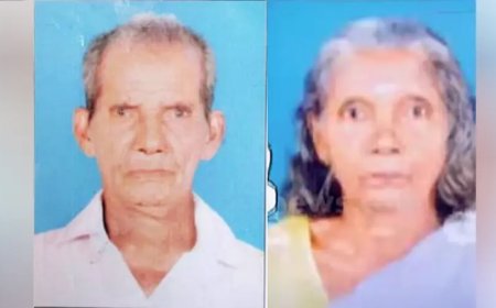 ചെന്നിത്തലയിൽ വീടിന് തീപിടിച്ച് വൃദ്ധ ദമ്പതികൾ മരിച്ച നിലയിൽ; മകൻ കസ്റ്റഡിയിൽ