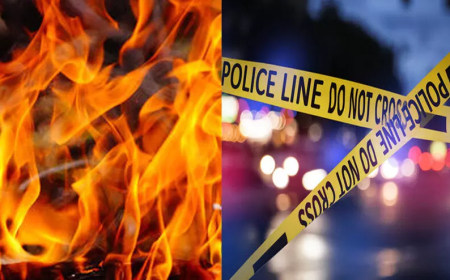 പാലായിൽ ഭാര്യാമാതാവിനെ പെട്രോളൊഴിച്ച് തീകൊളുത്തി കൊന്നു; പൊള്ളലേറ്റ മരുമകനും മരിച്ചു