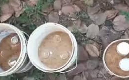 കോ​ഴി​ക്കോ​ട് വ​ൻ ആ​യു​ധ ശേ​ഖ​രം ക​ണ്ടെ​ത്തി