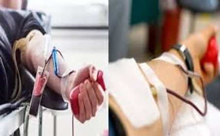 അപൂർവ രക്തത്തിനായി ഒരു കരുതൽ: കേരള റെയർ ബ്ലഡ് ഡോണർ രജിസ്ട്രി പുറത്തിറക്കി കേരള ബ്ലഡ് ട്രാൻസ്ഫ്യൂഷൻ കൗൺസിൽ