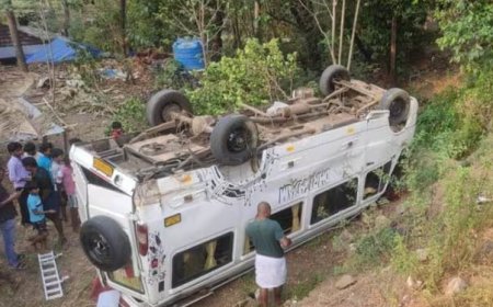 മണ്ണാര്ക്കാട് ട്രാവലര് തലകീഴായി മറിഞ്ഞ് 10 പേർക്ക് പരിക്ക്