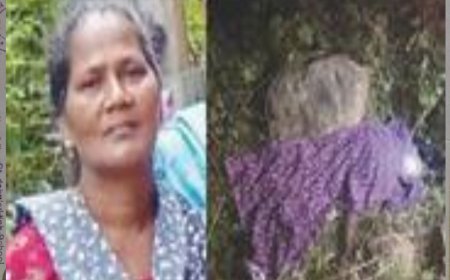 കാ​ട്ടാ​ന ആ​ക്ര​മ​ണ​ത്തി​ൽ കൊ​ല്ല​പ്പെ​ട്ട സോ​ഫി​യ​യു​ടെ കു​ടും​ബ​ത്തി​ന് പ​ത്ത് ല​ക്ഷം ധ​ന​സ​ഹാ​യം പ്ര​ഖ്യാ​പി​ച്ചു