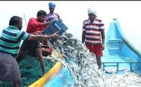 മത്സ്യത്തൊഴിലാളി ക്ഷേമനിധി : അംശാദായം അടച്ച് അംഗത്വം പുതുക്കണം