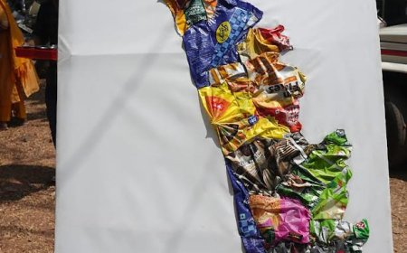 വേരിറങ്ങാൻ വേർതിരിക്കാം; ഉപയോഗശൂന്യ പ്ലാസ്റ്റിക്ക് കൊണ്ടാരു കേരള ഭൂപടം ഒരുക്കി